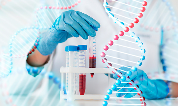 Анализ крови на антитела к ветряной оспе Анализ крови на антитела к ветряной оспе