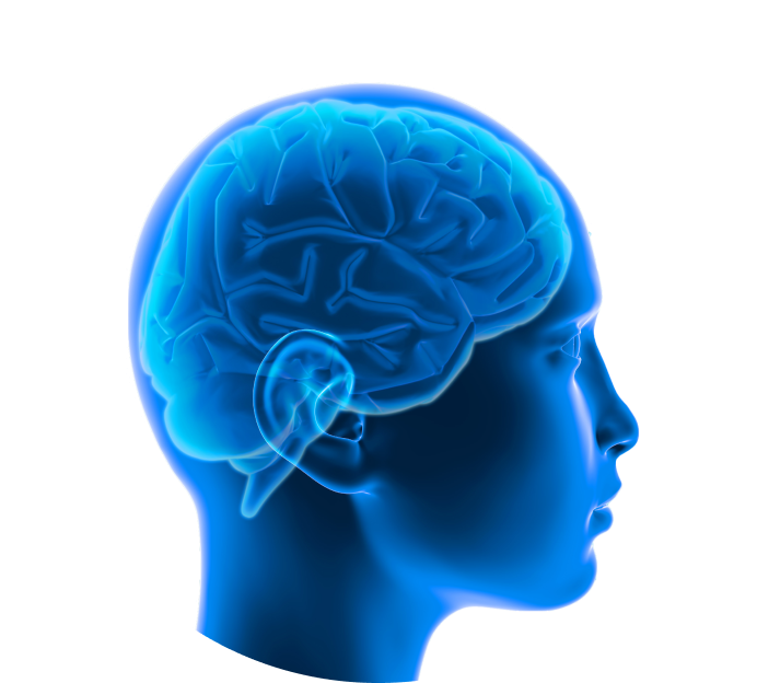 МРТ головы с контрастом