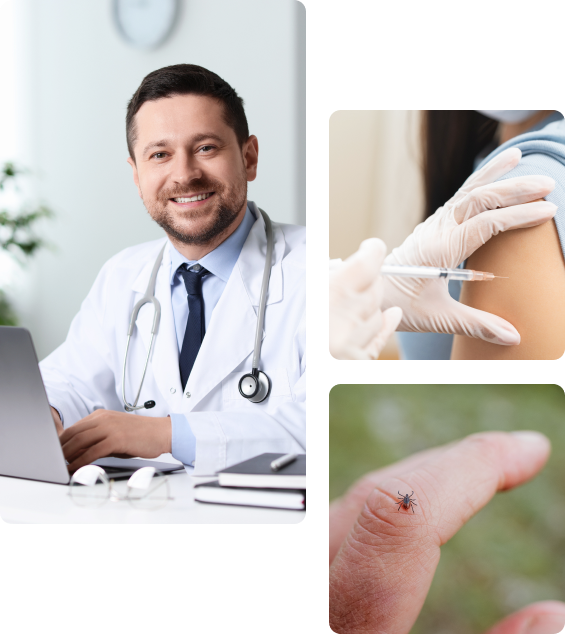 Осложнения после прививки от клещевого энцефалита Осложнения после прививки от клещевого энцефалита