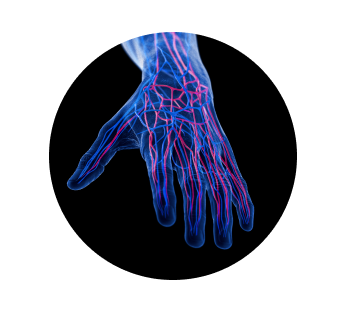 Реовазография (РВГ)