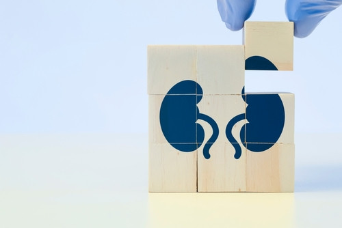 Агенезия (аплазия) почки