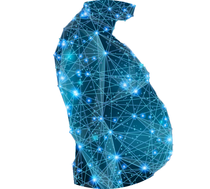 МРТ для полных людей