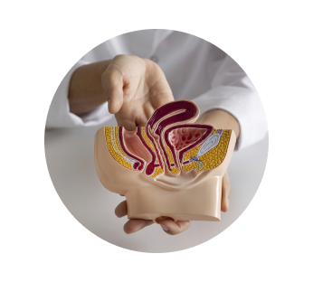 Биопсия кишечника Биопсия кишечника