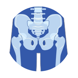 МРТ костей таза