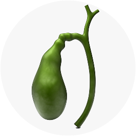 МРТ желчного пузыря с контрастом