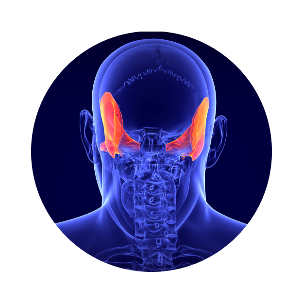 МСКТ височных костей МСКТ височных костей