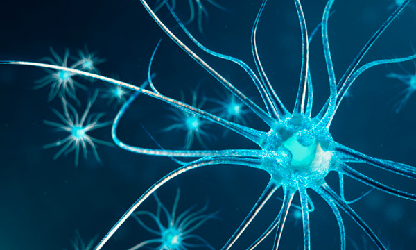 Исследование проведения по лицевому нерву