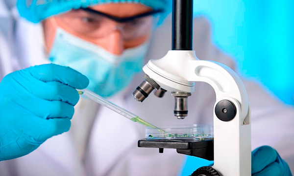 Консультация готового гистологического препарата (за один препарат при количестве препаратов - от 1 до 5) Консультация готового гистологического препарата (за один препарат при количестве препаратов - от 1 до 5)