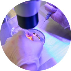 Биопсия слизистой носа