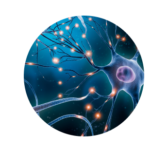 Электромиография (ЭМГ)