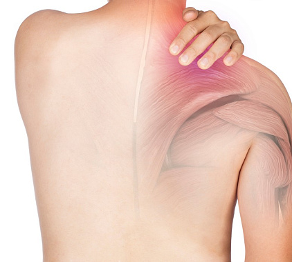 Рентген лопатки Рентген лопатки