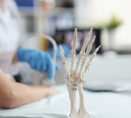 УЗИ лучезапястного сустава