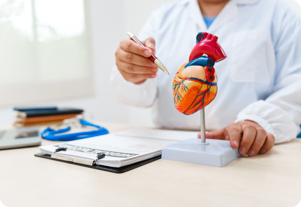 Консультация детского кардиолога