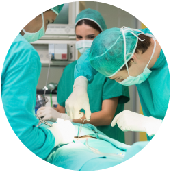 Результат пластики уретры