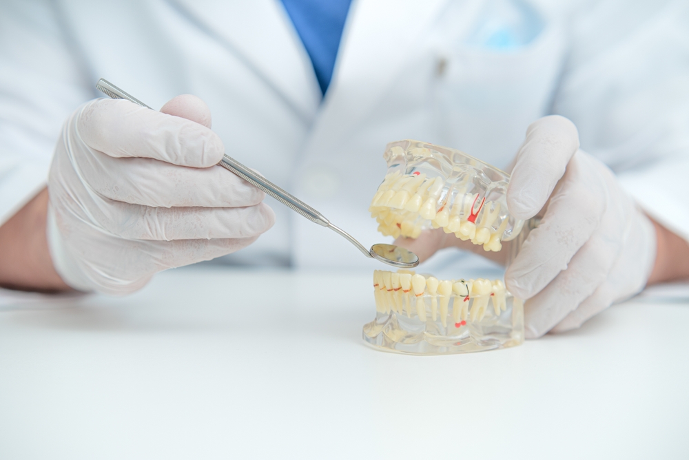 Консультация стоматолога-ортодонта