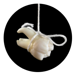 Простое удаление зуба Простое удаление зуба